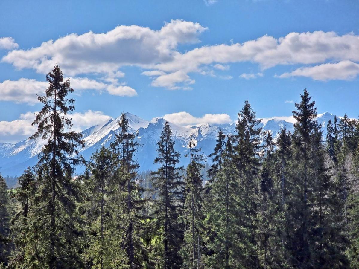 Willabukovinka - Bliskosc Lasu, Wyciagow I Term, Atrakcje Dla Dzieci, Znizki Na Wyciagi, Termy, Karczmy I Atrakcje Bukowina Tatrzańska Dış mekan fotoğraf