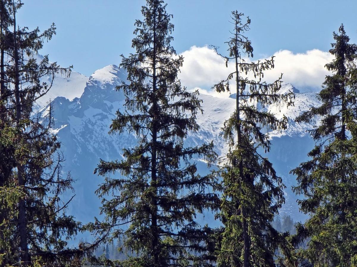 Willabukovinka - Bliskosc Lasu, Wyciagow I Term, Atrakcje Dla Dzieci, Znizki Na Wyciagi, Termy, Karczmy I Atrakcje Bukowina Tatrzańska Dış mekan fotoğraf