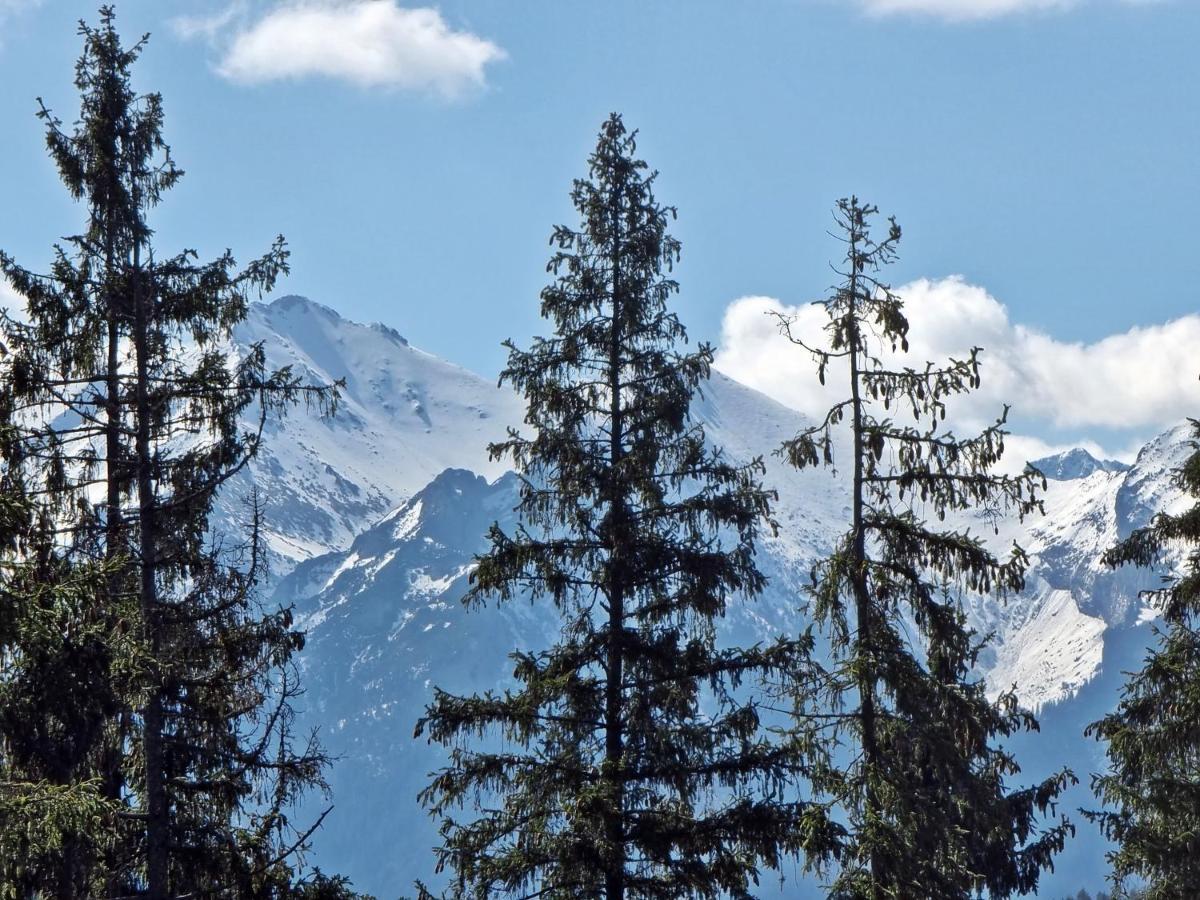Willabukovinka - Bliskosc Lasu, Wyciagow I Term, Atrakcje Dla Dzieci, Znizki Na Wyciagi, Termy, Karczmy I Atrakcje Bukowina Tatrzańska Dış mekan fotoğraf