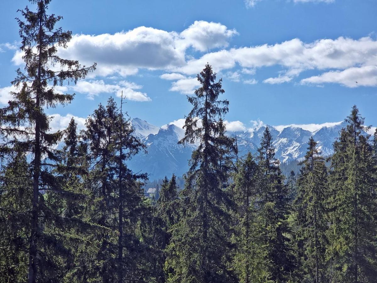 Willabukovinka - Bliskosc Lasu, Wyciagow I Term, Atrakcje Dla Dzieci, Znizki Na Wyciagi, Termy, Karczmy I Atrakcje Bukowina Tatrzańska Dış mekan fotoğraf