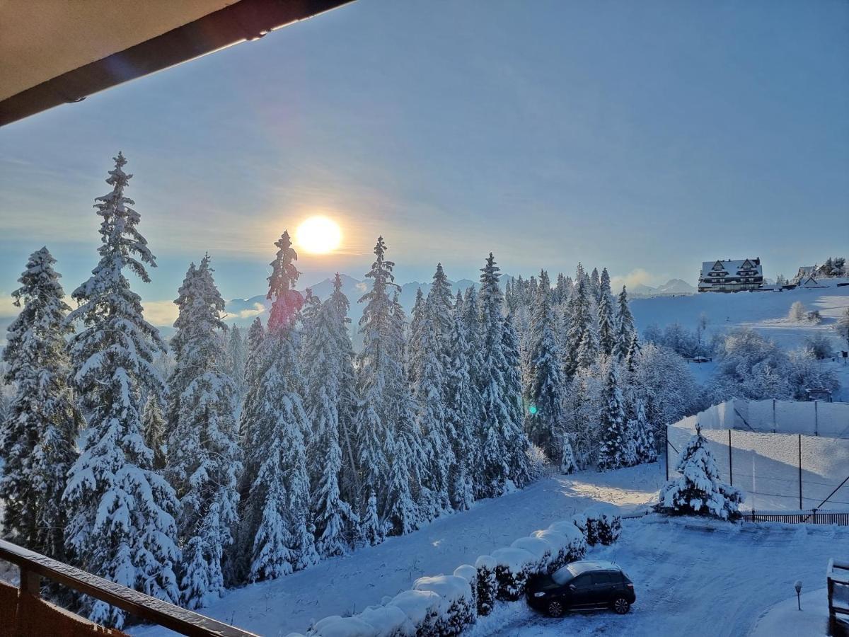 Willabukovinka - Bliskosc Lasu, Wyciagow I Term, Atrakcje Dla Dzieci, Znizki Na Wyciagi, Termy, Karczmy I Atrakcje Bukowina Tatrzańska Dış mekan fotoğraf