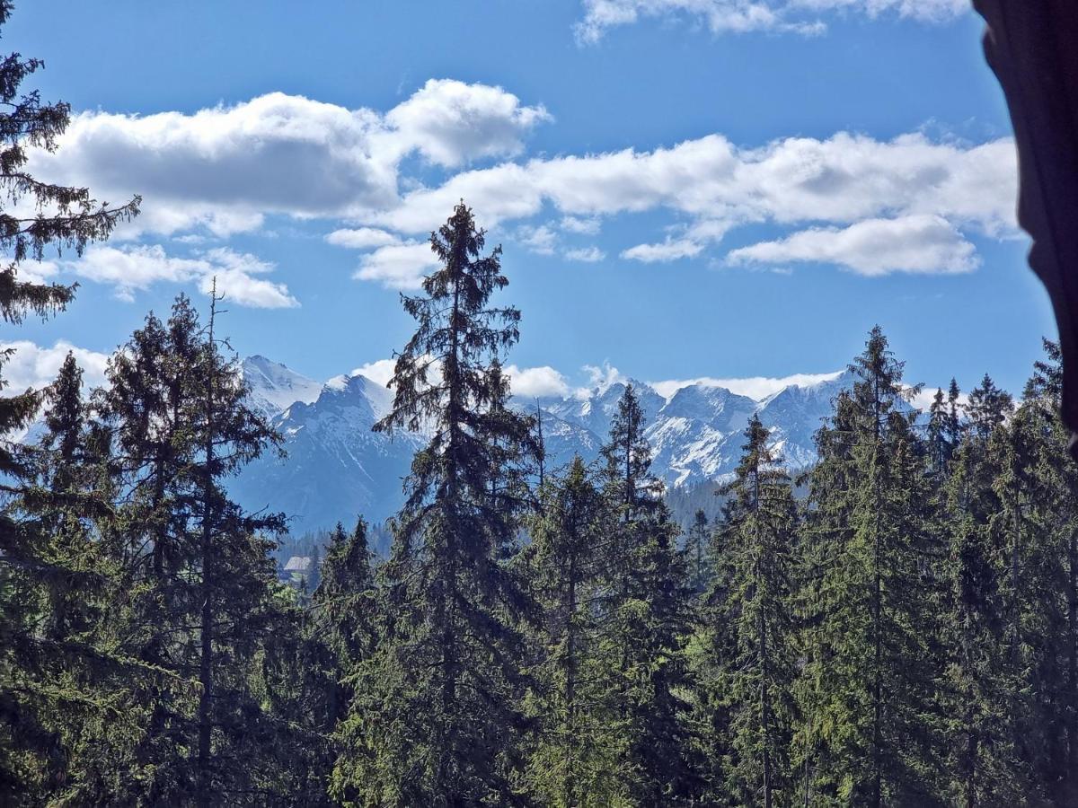 Willabukovinka - Bliskosc Lasu, Wyciagow I Term, Atrakcje Dla Dzieci, Znizki Na Wyciagi, Termy, Karczmy I Atrakcje Bukowina Tatrzańska Dış mekan fotoğraf