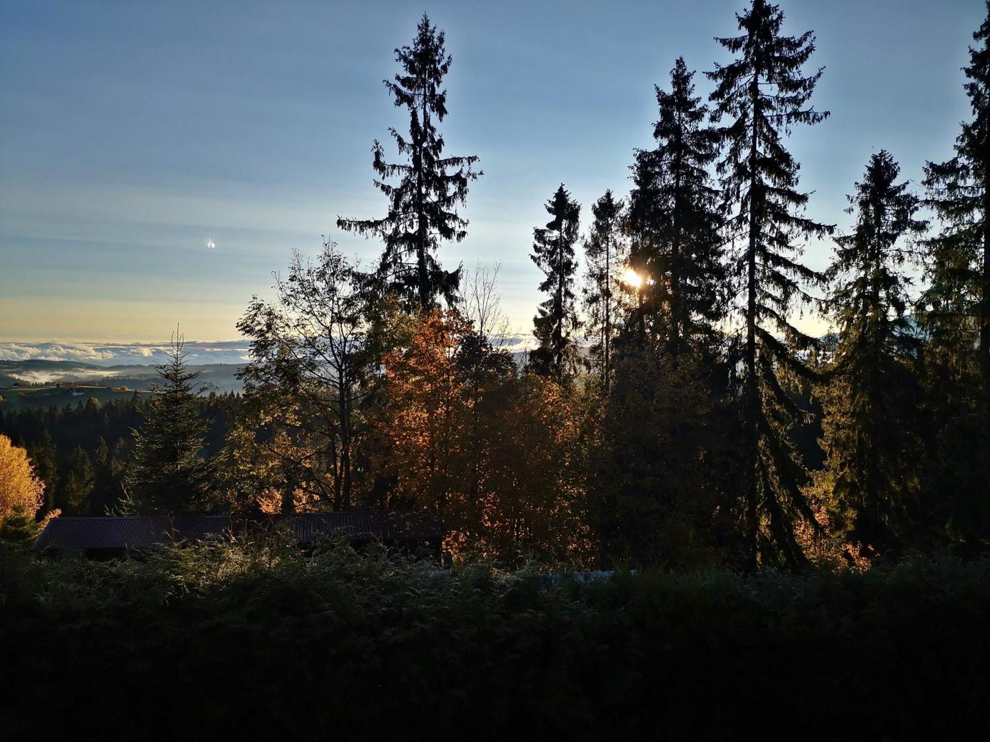 Willabukovinka - Bliskosc Lasu, Wyciagow I Term, Atrakcje Dla Dzieci, Znizki Na Wyciagi, Termy, Karczmy I Atrakcje Bukowina Tatrzańska Dış mekan fotoğraf